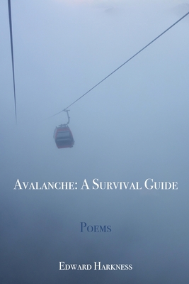 Avalanche: A Survival Guide - Edward Harkness