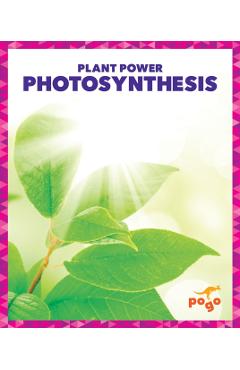 Coperta cărții 'Photosynthesis - Karen Latchana Kenney'