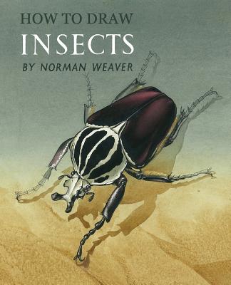 How to Draw Insects (Facsimile Reprint) - Norman Weaver