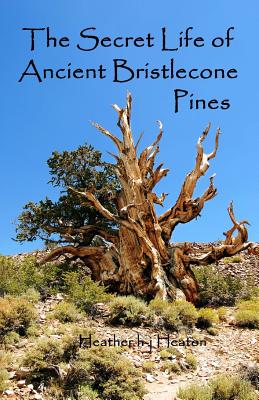 The Secret Life of Ancient Bristlecone Pines: Book One of the Secret Life Series - Heather H-j Heaton