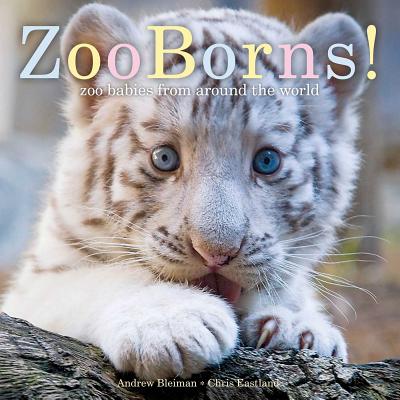 Zooborns!: Zoo Babies from Around the World - Andrew Bleiman