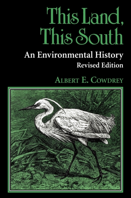 This Land, This South - Albert E. Cowdrey