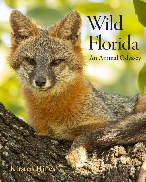 Wild Florida: An Animal Odyssey - Kirsten Hines