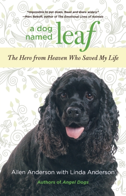 Dog Named Leaf: The Hero from Heaven Who Saved My Life - Allen Anderson