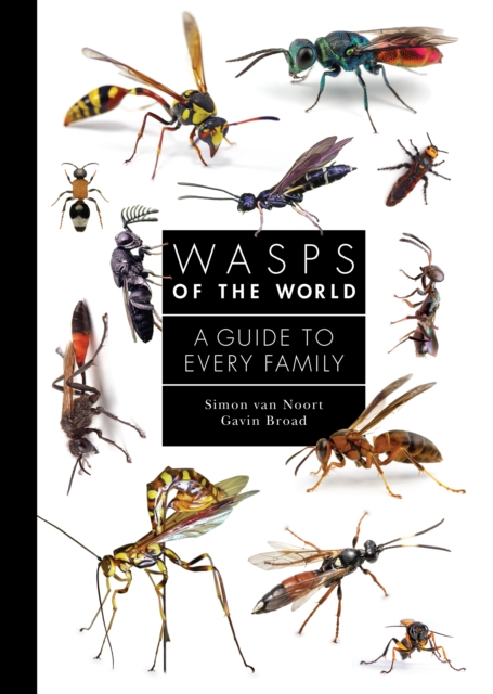 Wasps of the World: A Guide to Every Family - Simon Van Noort