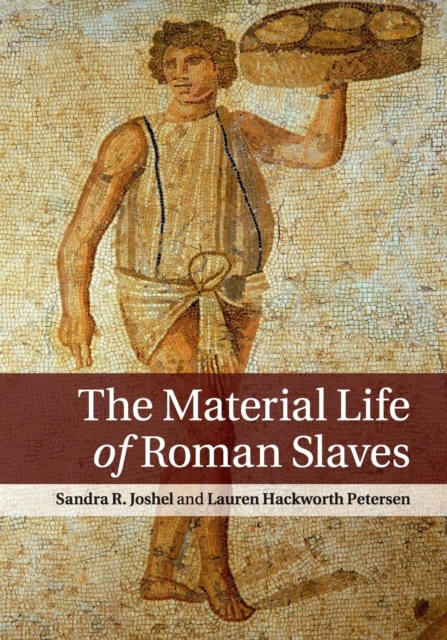 The Material Life of Roman Slaves - Sandra R. Joshel