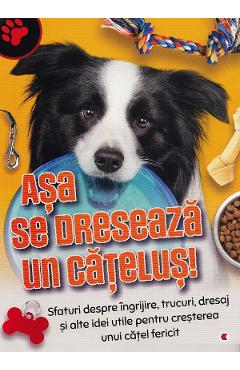 Poza produsului Asa se dreseaza un catelus!