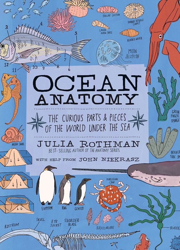 Ocean Anatomy: The Curious Parts and Pieces of the World under the Sea - Julia Rothman, John Niekrasz