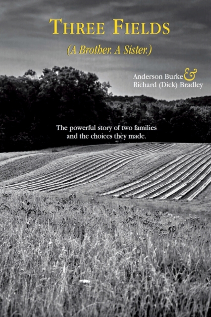 Coperta cărții 'Three Fields (A Brother. A Sister.) - Anderson Burke'