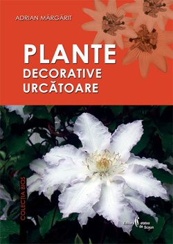 Plante decorative uscatoare - Adrian Margarit