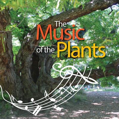 The Music of the Plants - Silvia Buffagni Esperide Ananas