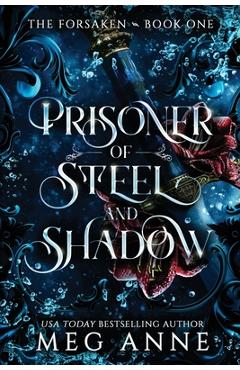 Coperta cărții 'Prisoner of Steel and Shadow - Meg Anne'