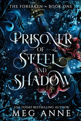 Coperta cărții 'Prisoner of Steel and Shadow - Meg Anne'