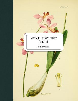Vintage Botany Prints: Vol. 19 - E. Lawrence