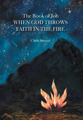 The Book of Job When God Throws Faith in the Fire - Christopher B. Strevel