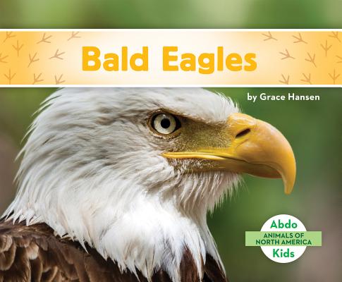 Coperta cărții 'Bald Eagles - Grace Hansen'