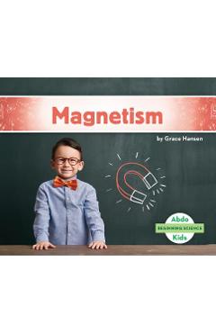 Coperta cărții 'Magnetism - Grace Hansen'