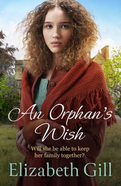 An Orphan's Wish - Elizabeth Gill