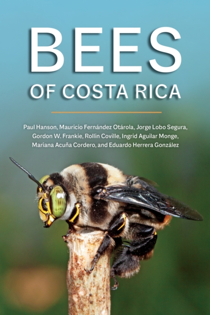 Bees of Costa Rica - Paul Hanson