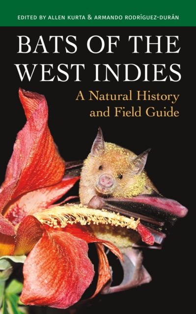 Bats of the West Indies: A Natural History and Field Guide - Allen Kurta