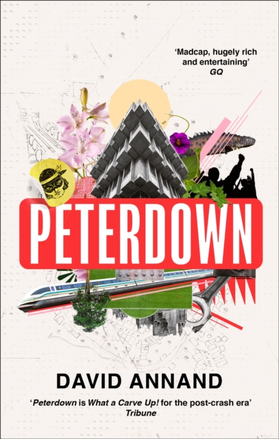 Peterdown: An Epic Social Satire, Full of Comedy, Character and Anarchic Radicalism - David Annand