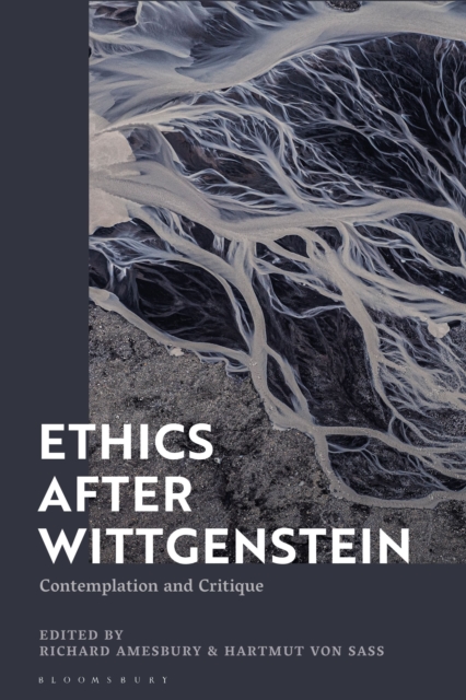 Ethics after Wittgenstein: Contemplation and Critique - Richard Amesbury