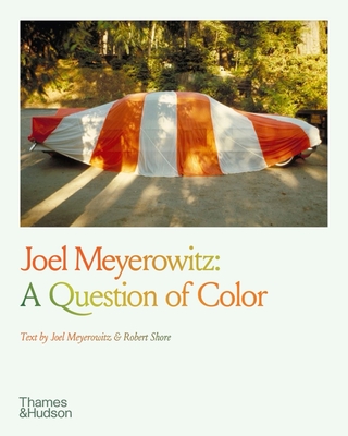 Joel Meyerowitz: A Question of Color - Joel Meyerowitz