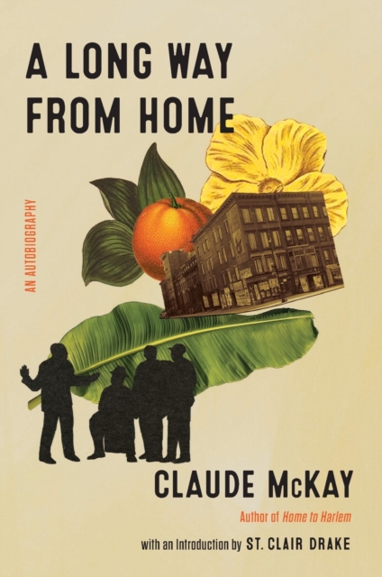 A Long Way from Home - Claude Mckay