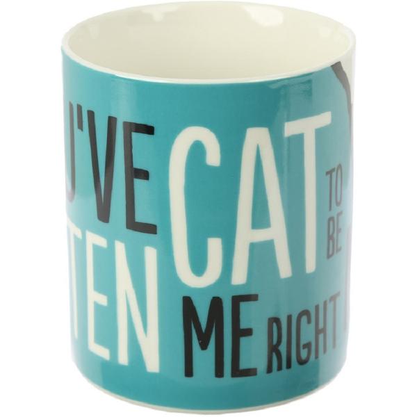 Cana Simon's Cat. Slogan