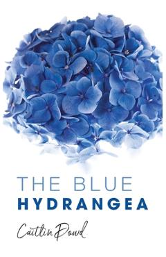 The Blue Hydrangea - Caitlin Dowd