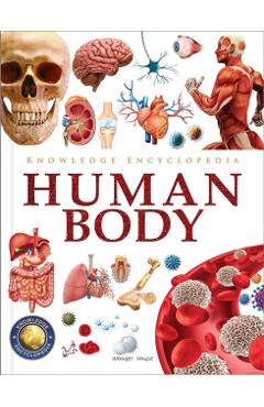 Knowledge Encyclopedia: Human Body - Wonder House Books