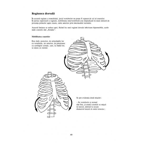 Anatomie pentru miscare vol. 2: Exercitii de baza - Blandine Calais-Germain