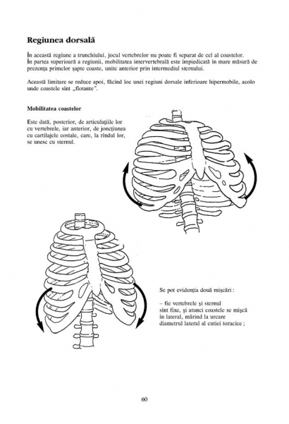 Anatomie pentru miscare vol. 2: Exercitii de baza - Blandine Calais-Germain