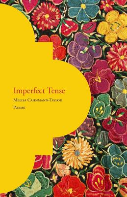 Imperfect Tense - Melisa Cahnmann-taylor