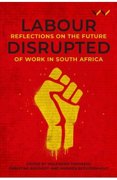 Poza produsului Labour Disrupted: Reflections on the Future of Work in South Africa - Malehoko Tshoaedi