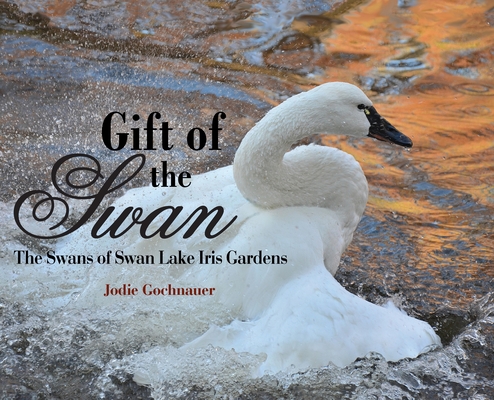 Gift of the Swan: The Swans of Swan Lake Iris Gardens - Jodie Gochnauer