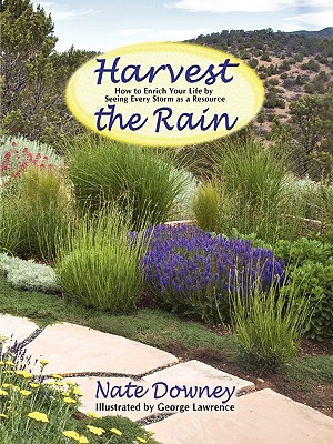 Harvest the Rain: How to Enrich Your Life by Seeing Every Storm as a Resource - Nate Downey