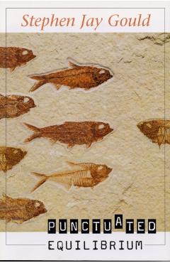 Poza produsului Punctuated Equilibrium - Stephen Jay Gould