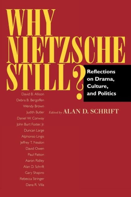 Why Nietzsche Still?: Reflections on Drama, Culture, and Politics - Alan D. Schrift