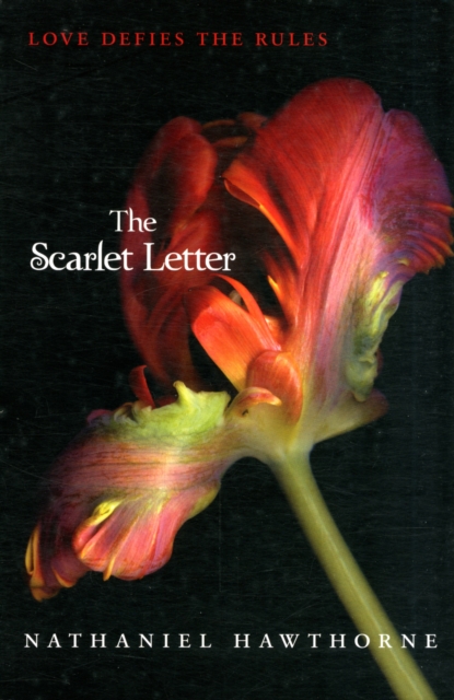 The Scarlet Letter - Nathaniel Hawthorne