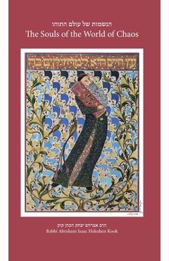 Coperta cărții 'The Souls of the World of Chaos - Bezalel Naor'