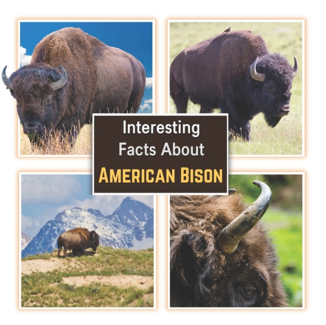 Interesting Facts about American Bison: Learn About the Bison with Picture Book for Children - James K. Mahi