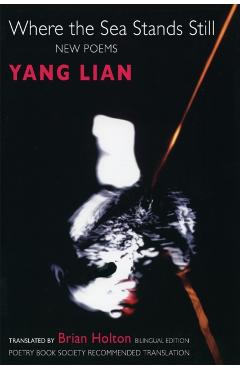 Where the Sea Stands Still - Yang Lian