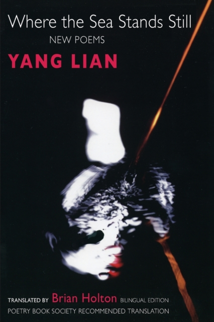 Where the Sea Stands Still - Yang Lian