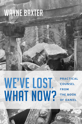 We've Lost. What Now? - Wayne Baxter