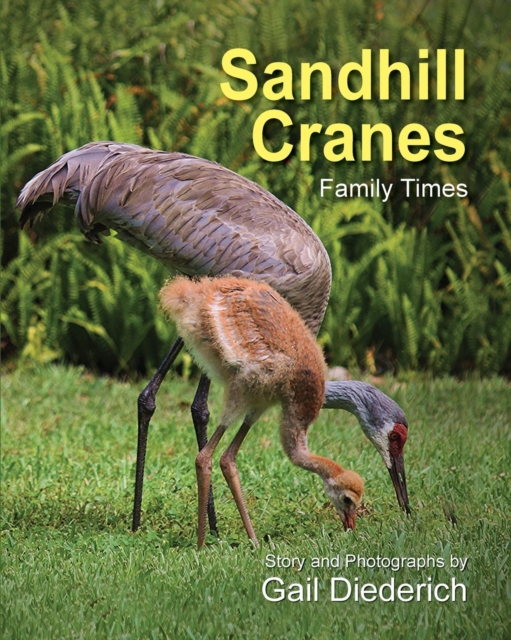Sandhill Cranes, Family Times - Gail Diederich