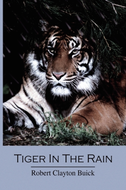 Tiger in the Rain - Robert Clayton Buick