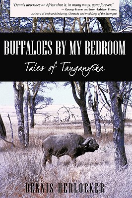 Buffaloes by My Bedroom - Dennis Herlocker