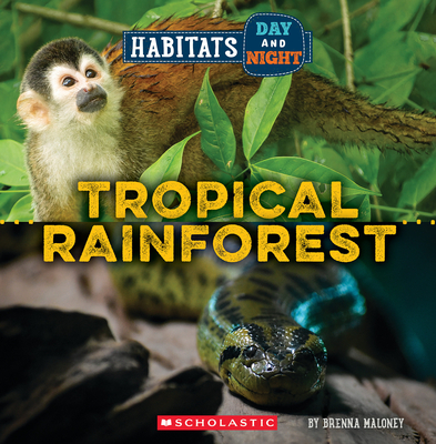 Tropical Rainforest (Wild World: Habitats Day and Night) - Brenna Maloney