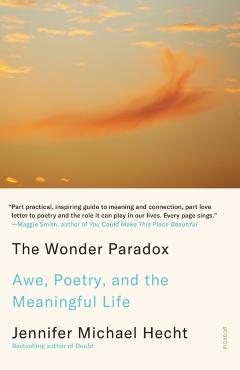 The Wonder Paradox: Awe, Poetry, and the Meaningful Life - Jennifer Michael Hecht